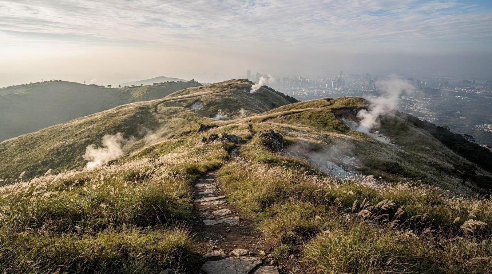 Yangmingshan cherry blossoms — when to go, where to stand, what to bring — A practical guide to seeing cherry blossoms on Yangmingshan in late January to M