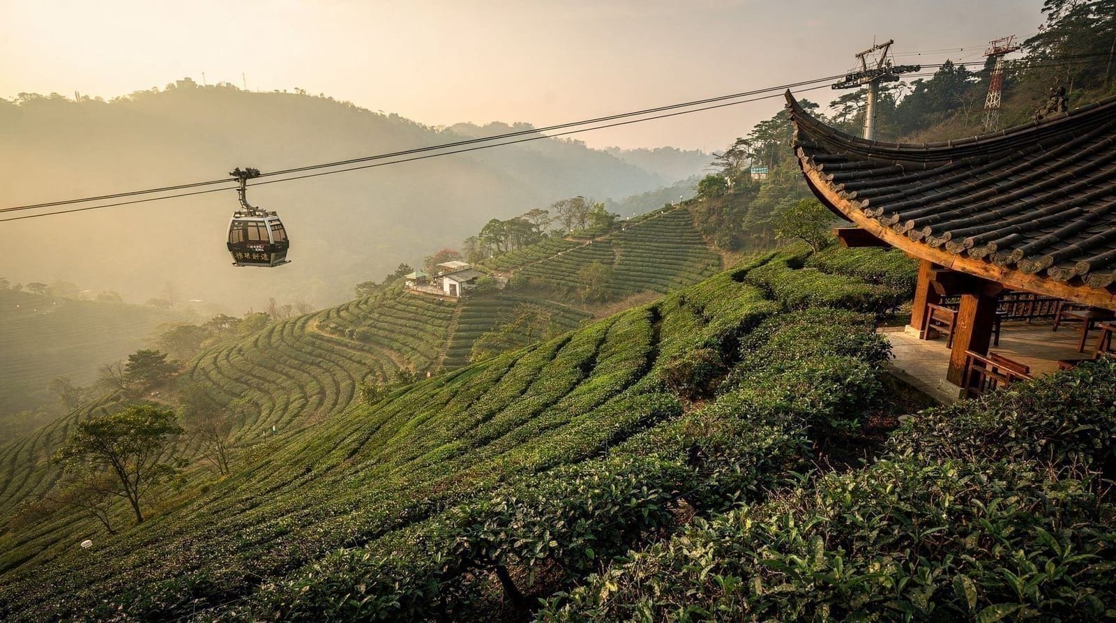 Maokong — gondola, oolong tea plantations and mountain teahouses, Taipei and surroundings