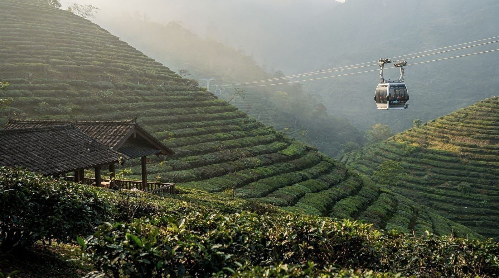 Maokong gondola guide — tea plantations, views, and how to visit