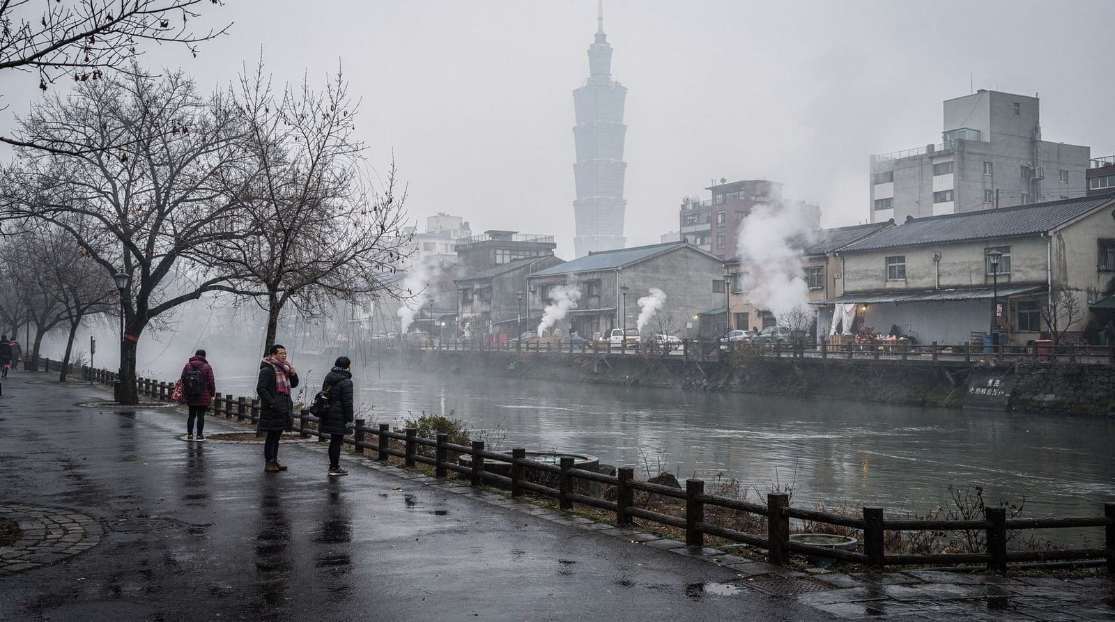 Taipei in winter — what to expect in December, January and February — What Taipei's winter is actually like — mild but damp, with cherry blossoms in F